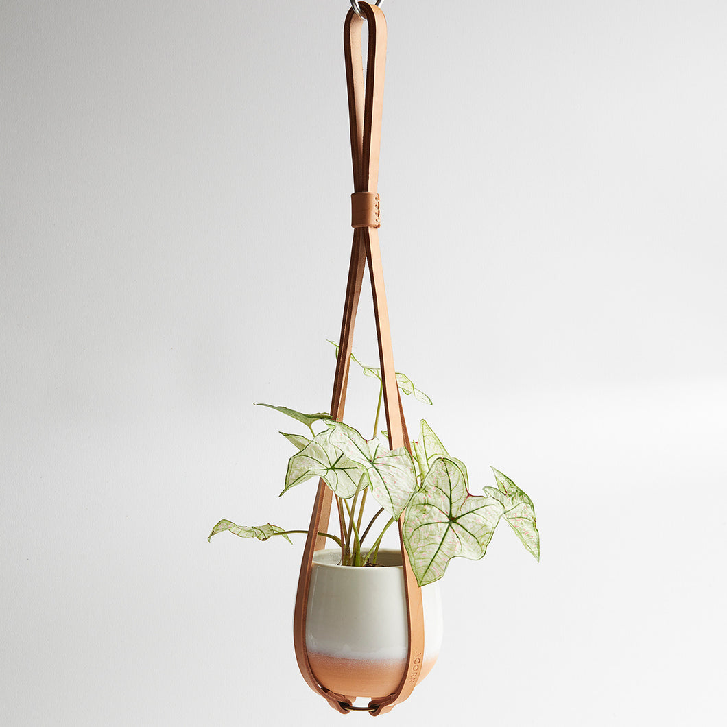 hanging planter leather straps Plant hanger – Acorn
